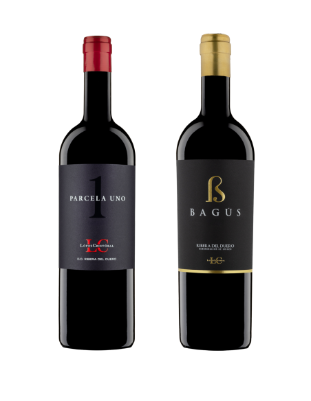 Bagús & Parcela Uno