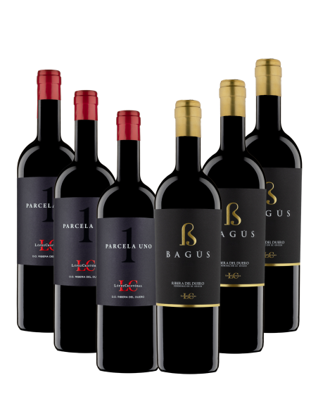 CAJA DUO PARCELA UNO & BAGÚS